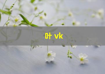 叶 vk